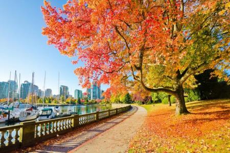 جاذبه های دیدنی ونکوور 