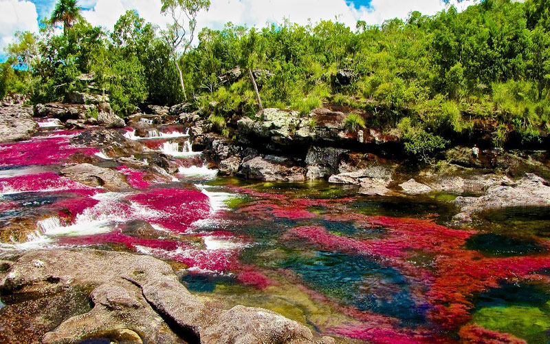 رودخانه رنگین‌کمان در کلمبیا