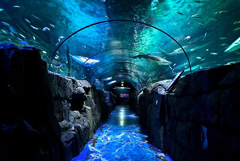 اکواریوم سیدنی استرالیا