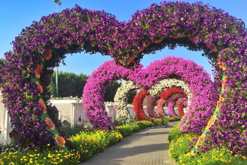 باغ معجزه دبی بزرگترین باغ گل جهان