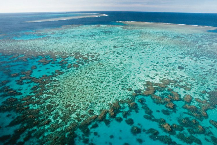 دیواره بزرگ مرجانی در استرالیا