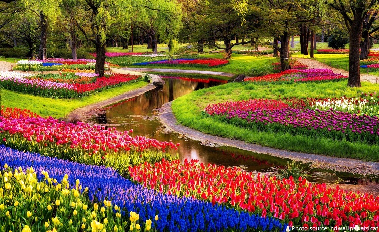 باغ کوکنهوف در هلند