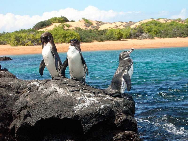 جزایر گالاپاگوس در غرب اکوادور
